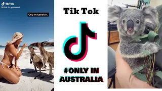 Only In Australia TikTok Funny Compilation 🇦🇺