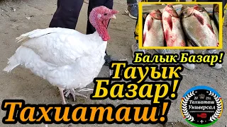 🦃ТАУЫК БАЗАР🐓🐠БАЛЫК БАЗАР🐬#тахиаташ#узбекистан#казакстан#россия#базар#рынок#рыба#курица#цыплята