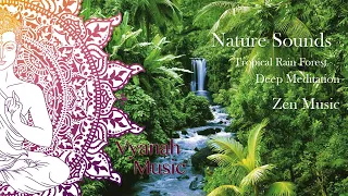 3 HOURS Relaxing Music For Meditation,Tropical Rainforest, Nature Sounds, Zen Meditation.