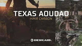 HMR Carbon: Texas Aoudad