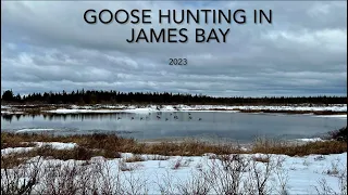 Goose Hunting in James Bay 2023