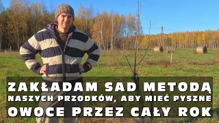 Zakładam sad metodą naszych przodków, aby mieć pyszne owoce przez cały rok