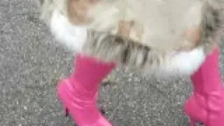 My pink Stiefel. High Heels  Walking