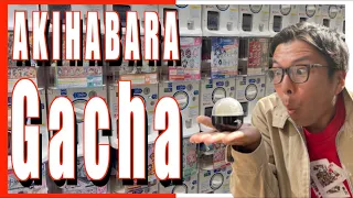 Amazing【GACHAPON】Capsule Toys  in AKIHABARA