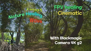 Nature healing wave with FPV CineLifter(BMMSC 4K G2) #fpvdrone #dronecinematic #blackmagic