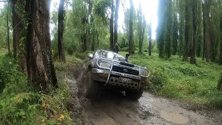 91 Hilux Surf/4Runner | 4x4 In the mud | NZ