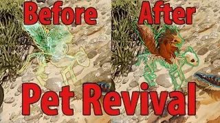 Pet Revival - Divinity Original Sin 2 Definitive Edition