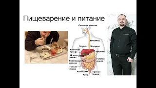 Правильное питание