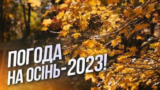 Перший ОСІННІЙ місяць ЗДИВУЄ cвоїм ТЕПЛОМ! Чи будуть заморозки?  | Прогноз ПОГОДИ на ВЕРЕСЕНЬ 2023