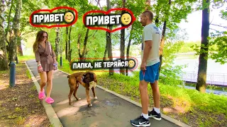 КАК Я ПОЗНАКОМИЛСЯ С ДЕВУШКОЙ😊 ТАЙСОНУ СТАЛО ПЛОХО. ДРЕССИРОВКА ТРЕНИРОВКА СОБАК. ОБЫЧНЫЙ ПАРЕНЬ С