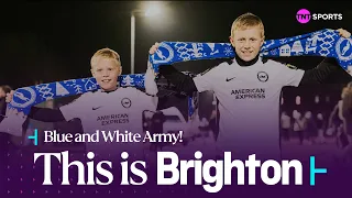 "COME ON SEAGULLS!" | This is what it means to support Brighton & Hove Albion F.C. 🔵 ⚪️