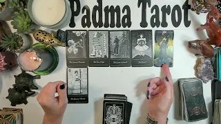TAURUS ♉️ YOU WILL GET WHAT YOU DESERVE!June 3rd-9th Career & Finances 💰Weekly Tarot Reading ✨️ 🔮