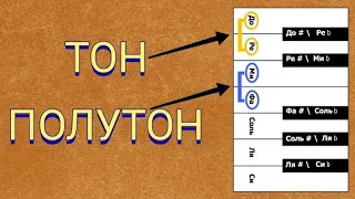 Урок 3. Тон и полутон. Теория музыки с нуля. Сольфеджио. Малая и большая секунда. Диез, бемоль