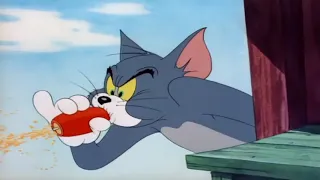 Tom and Jerry  - Little Quacker and mother, Episode 47