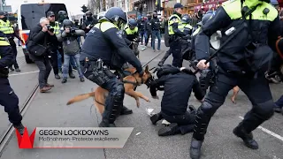 Niederlande: Gewalt bei Protesten - krone.tv NEWS