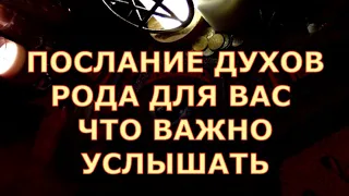 ПОСЛАНИЕ ДУХОВ РОДА ДЛЯ ВАС ЧТО ВАЖНОЕ ОНИ ХОТЯТ СКАЗАТЬ СЕГОДНЯ #tarot#shorts#gadanie#таросегодня