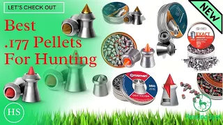 Top 5 Best .177 Pellets for Hunting You Can Buy In 2021