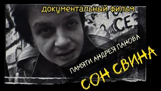 Сон Свина (2010) Документальный  фильм