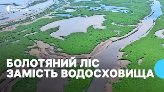 КАХОВСЬКЕ ВОДОСХОВИЩЕ:  через рік після підриву ГЕС. Що утворилося на місці колишнього ВЕЛИКОГО ЛУГУ