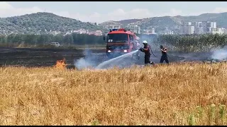 Top Channel/ Digjen 10 hektarë tokë në Lushnje, pamje nga lufta e zjarrfikësve me flakët