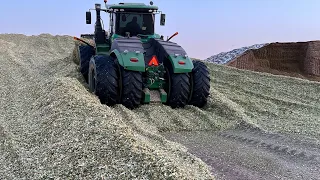 Chopping silage in California drought