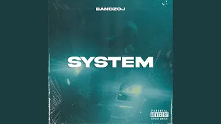 System