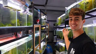 The Master of Shrimp and Guppies | In Depth Tour
