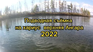 Подводная Съёмка  на Хариус, верхняя Ангара 2022