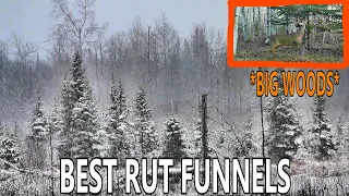 Top 3 BIG WOODS Rut Funnels