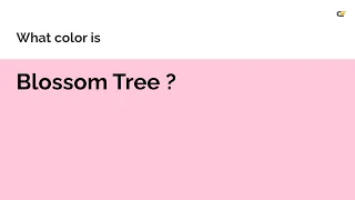 Blossom Tree color #ffc9db hex Cool Red color ffc9db