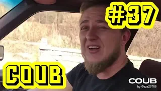 Best Cube #37 | Best Coub | Сборник кубов | Auto & Technique