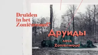 Друиды леса Zoniënwoud