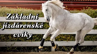 Základní jízdárenské cviky