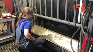 Bull Breeding Soundness Exams - Mizzou Repro