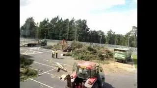 Time-lapse of tree removal. 3 days into 3.22 minutes