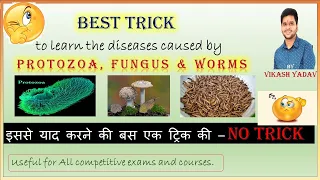 Trick to learn diseases caused by PROTOZOA, FUNGUS & WORMS || Best trick || ✍️✍️