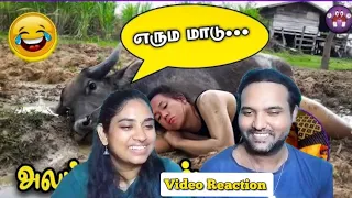 Funny Animal Sambavagal  😂😁🤣😄| Magnet Family 2.0 Video Reaction | Tamil Couple Reaction