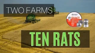 Two Farms Ten Rats - Air Rifle Pest Control