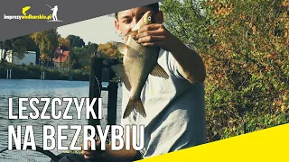 Leszczyki na bezrybiu | FEEDER | Imprezywedkarskie.pl