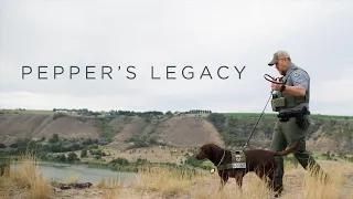 IDFG Presents | Pepper's Legacy