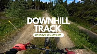 Downhill Track Schwarz alle Sprünge Bikepark Willigen RAW full run