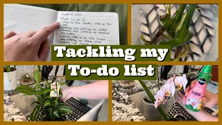 PLANT CHORES:Tackling my plant to-do list