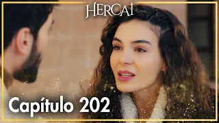 Hercai - Capítulo 202