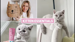HUGE KITTEN HAUL, PREPARING FOR OUR BRITISH SHORTHAIR KITTEN  WHAT TO BUY AND WHAT WE USE THE MOST