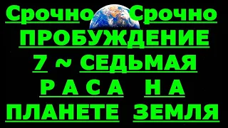 ✔ *АрхиСРОЧНО* «Появилась 7-ая ~ раса на ЗЕМЛЕ... !»