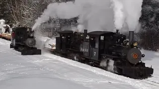 Wiscasset, Waterville & Farmington - Maine Two-Foot Gauge Steam Reunion