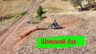 Шотский лес.Kayo T2 Enduro #enduro #китайскиймотоцикл #прохват