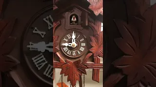 Getting a countwheel cuckoo clock to strike correctly if it has gone out of sync.