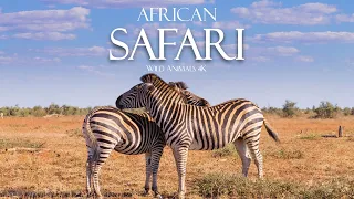 African Safari 4K - Scenic Relaxation Film & Calming Music - Animal Sounds