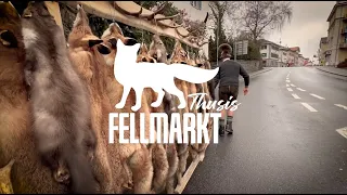 Fellmarkt in Thusis 2024
